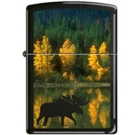 Zippo Autumn Moose 66557