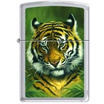 Zippo Picken's Tiger 78145